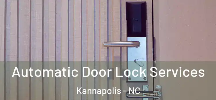 Automatic Door Lock Services Kannapolis - NC