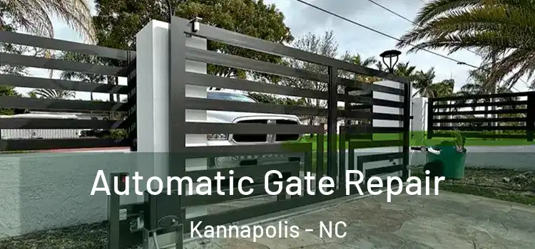 Automatic Gate Repair Kannapolis - NC