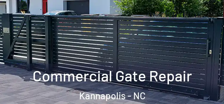 Commercial Gate Repair Kannapolis - NC