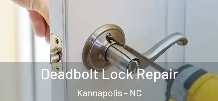 Deadbolt Lock Repair Kannapolis - NC
