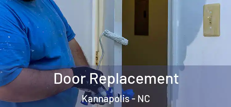 Door Replacement Kannapolis - NC