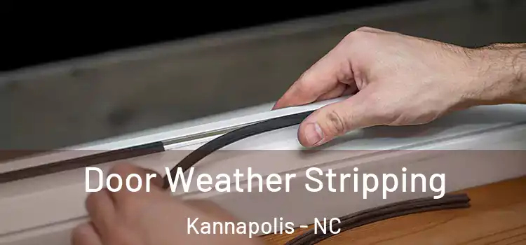 Door Weather Stripping Kannapolis - NC