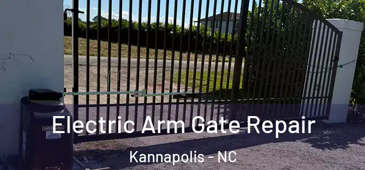 Electric Arm Gate Repair Kannapolis - NC