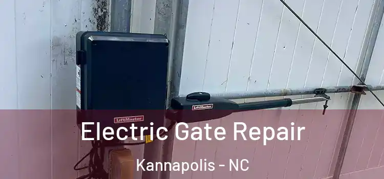 Electric Gate Repair Kannapolis - NC