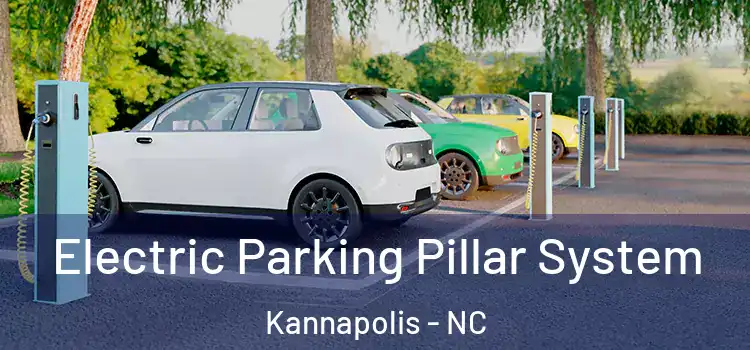 Electric Parking Pillar System Kannapolis - NC