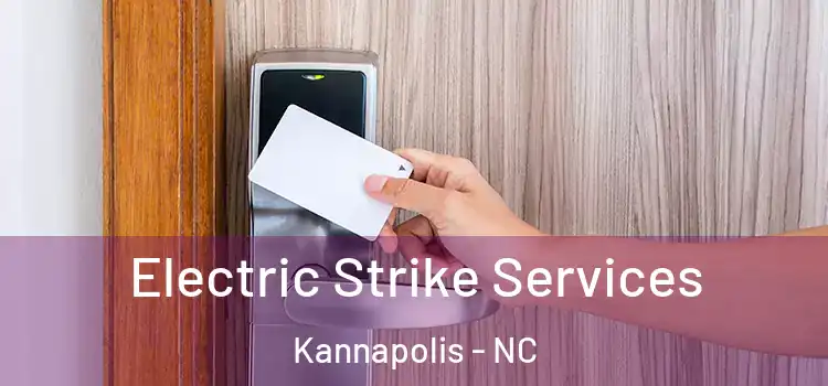 Electric Strike Services Kannapolis - NC