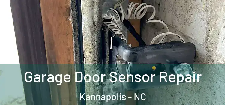 Garage Door Sensor Repair Kannapolis - NC