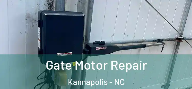 Gate Motor Repair Kannapolis - NC