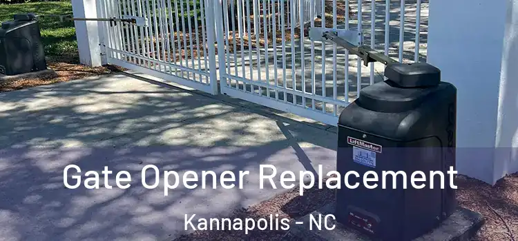 Gate Opener Replacement Kannapolis - NC