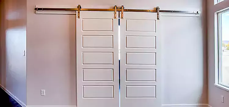 Glass Barn Door with Installation Hardware Kit Kannapolis