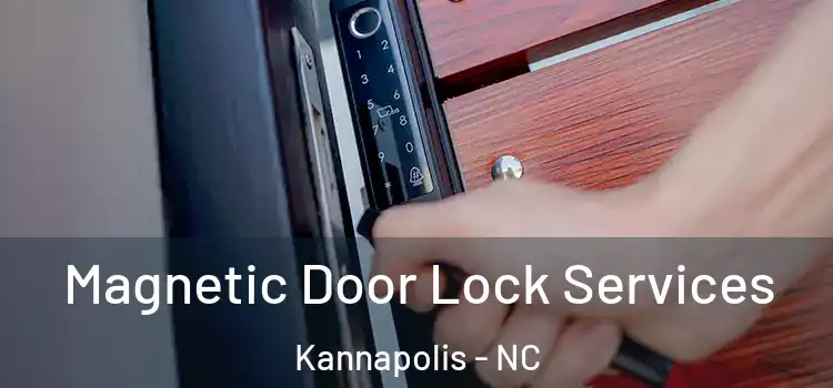 Magnetic Door Lock Services Kannapolis - NC