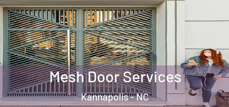 Mesh Door Services Kannapolis - NC