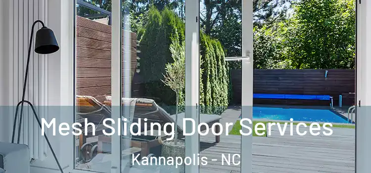 Mesh Sliding Door Services Kannapolis - NC