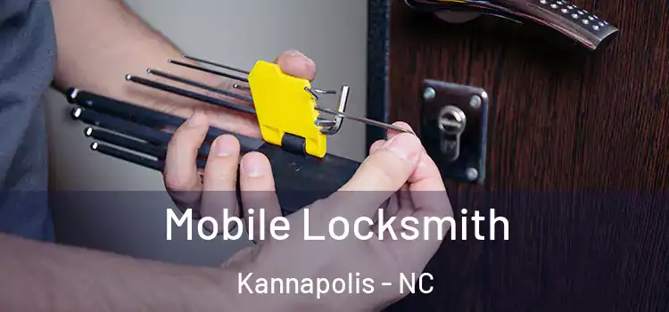 Mobile Locksmith Kannapolis - NC