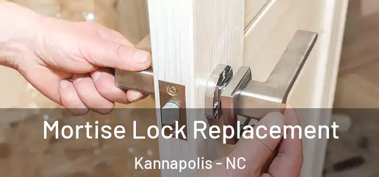 Mortise Lock Replacement Kannapolis - NC