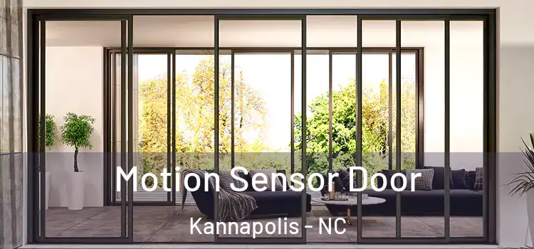 Motion Sensor Door Kannapolis - NC