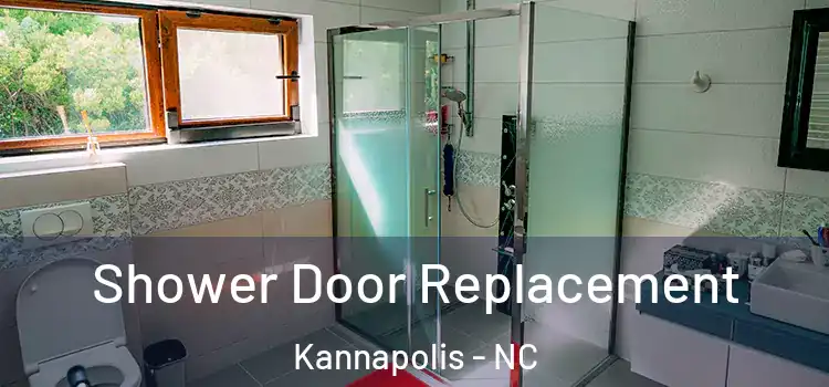 Shower Door Replacement Kannapolis - NC