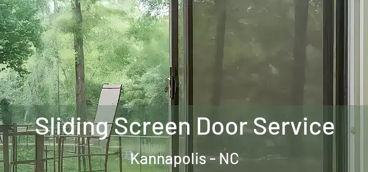 Sliding Screen Door Service Kannapolis - NC